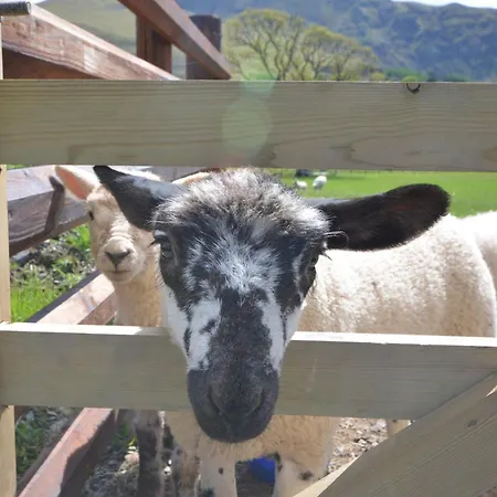 2 Bed In Ullswater 87349 Holiday home Penrith